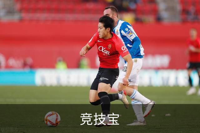 竞技宝公司简介